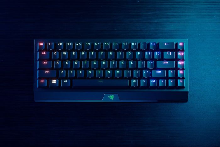 Клавіатура механічна Razer BlackWidow V3 Mini HyperSpeed 68key, Green Switch, USB-A/WL/BT, EN/RU, RGB, чорний