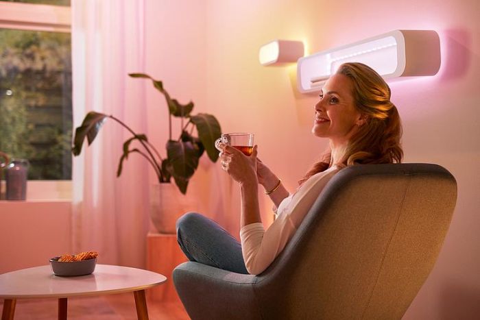 Удлинитель для ленты 929002524801 WiZ LEDStrip, 800Lm, 2700-6500k, RGB, 1 метр, Wi-Fi