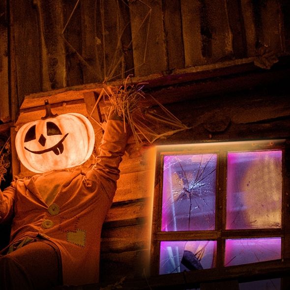 Умная  многоцветная Wi-Fi лента TP-LINK TP-Link TAPO-L920-5