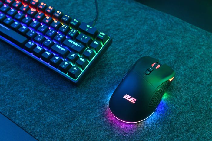 Миша 2E GAMING MG350 WL, RGB, USB-A/WL, чорний