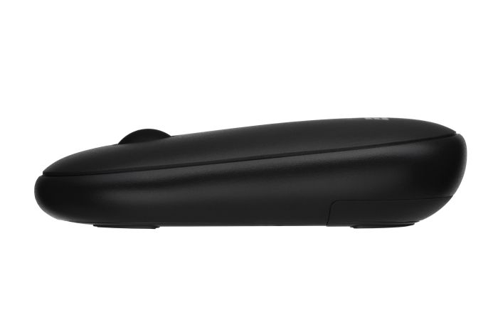Mouse 2E MF300 Silent, WL/BT, graphite-black