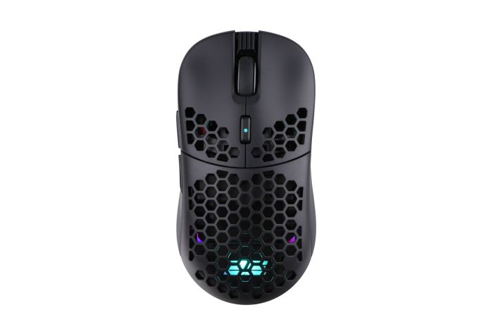 2E GAMING Mouse HyperDrive Pro WL, RGB, USB-A/WL, black