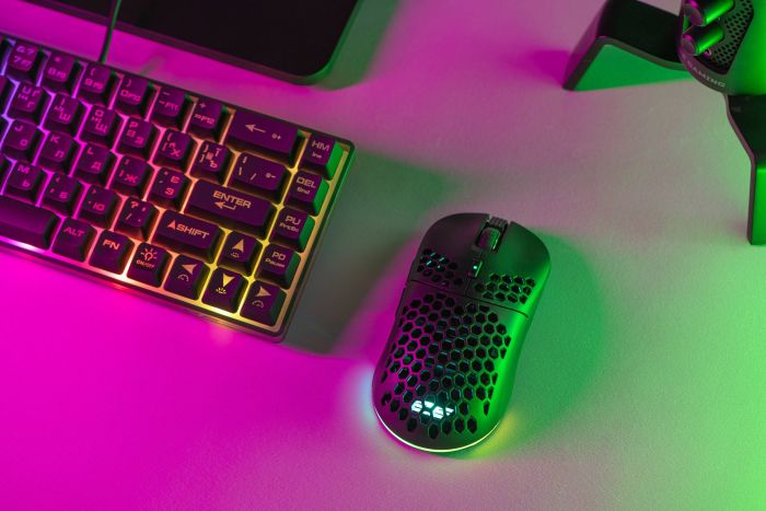 2E GAMING Mouse HyperDrive Pro WL, RGB, USB-A/WL, black