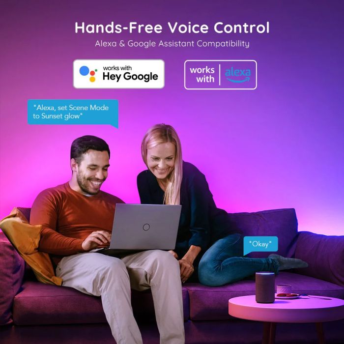 Govee RGBIC Basic Wi-Fi + Bluetooth LED Strip Lights (5 Meter)