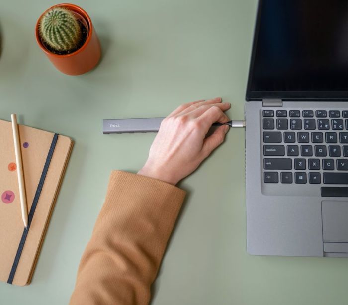 USB-Hub Trust Halyx Type-C to 4-Port USB-A 3.2 Grey