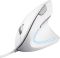 Мышь Trust Verto Ergonomic, USB-A, Белый