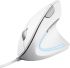 Mouse Trust Verto Ergonomic, USB-A