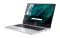 Ноутбук Acer Chromebook CB315-4HT 15" FHD IPS Touch, Intel C N4500, 8GB, F128GB, UMA, ChromeOS, сріблястий