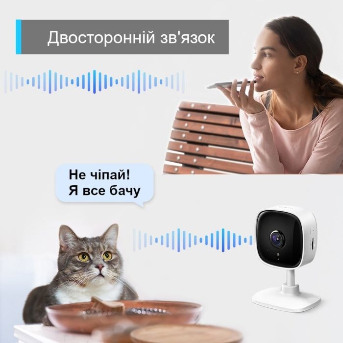 IP-Камера TP-LINK Tapo  FHD N300 microSD motion detection TP-Link TC60