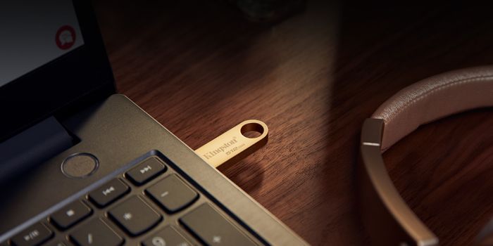 Накопичувач Kingston  256GB USB 3.2 Type-A Gen1 DT SE9 G3