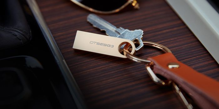 Накопичувач Kingston  256GB USB 3.2 Type-A Gen1 DT SE9 G3