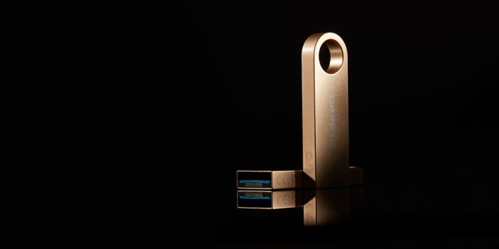 Накопичувач Kingston  256GB USB 3.2 Type-A Gen1 DT SE9 G3