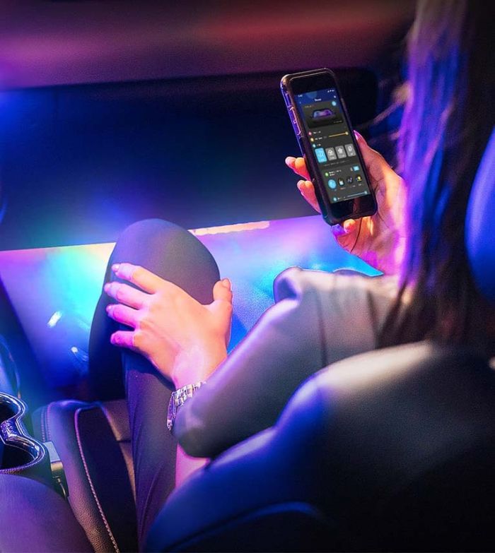 Govee RGBIC Interior Car Lights (30 Scene Mode + 4 Music Mode)--Without Remote Control