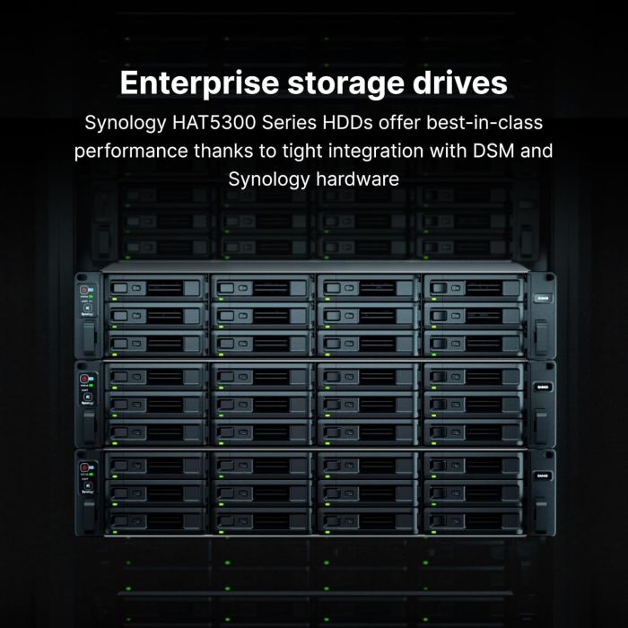 Жесткий диск Synology 3.5" 20TБ SAS 7200