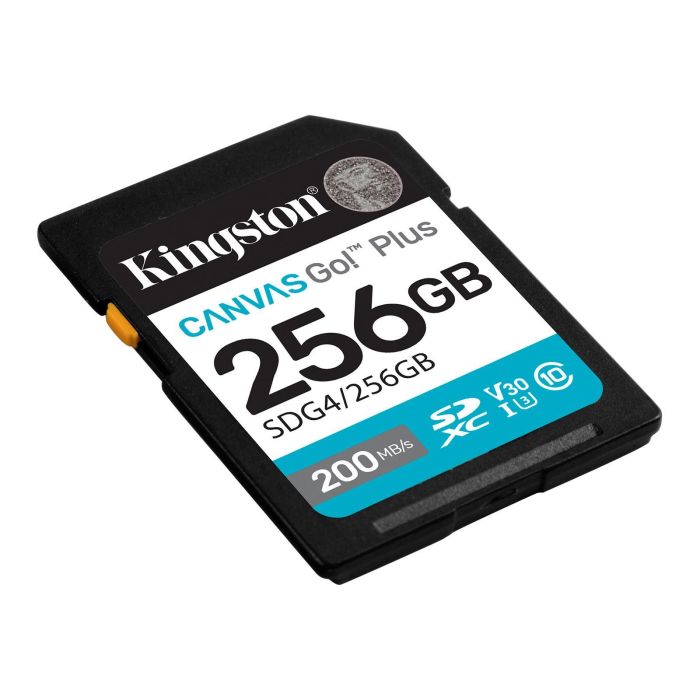 Kingston SD  256GB C10 UHS-I U3 V30 R200/W160MB/s