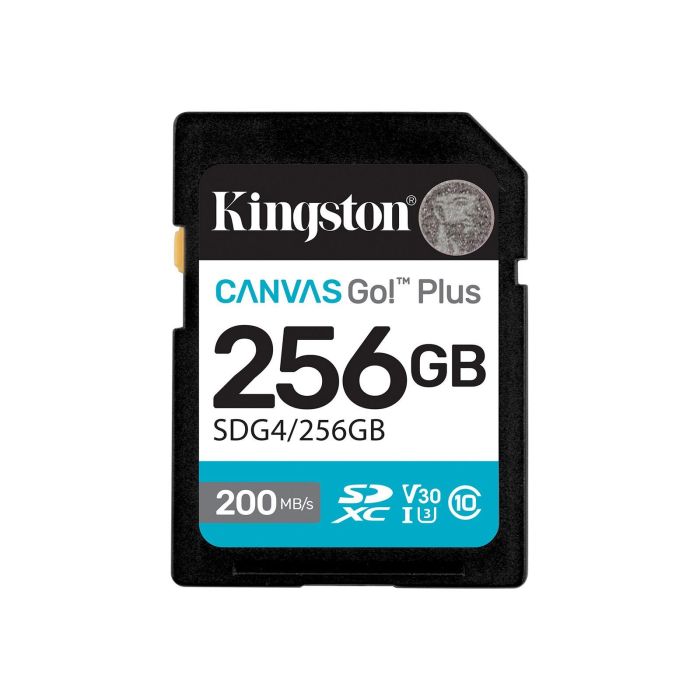 Kingston SD  256GB C10 UHS-I U3 V30 R200/W160MB/s