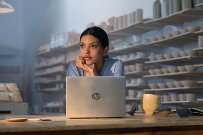 Ноутбук HP Probook 4-G1a 14" WUXGA IPS, AMD R7-250, 24GB, F1024GB, UMA, Win11P, серебристый