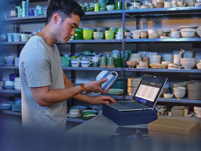 HP Notebook ProBook 4-G1i 14" WUXGA IPS AG, Intel U5-225H, 16GB, F512GB, UMA, Win11P, silver