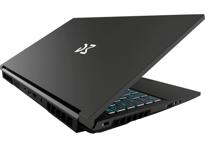 Dream Machines Notebook RG3050-15 15.6FHD IPS, Intel i7-13620H, 32GB, F1TB, NVD3050-4, DOS, black