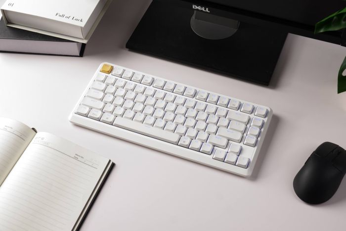 Mechanical keyboard Keychron J1 82Key, K pro Brown, WL/BT/USB-A, QMK, Hot-swap, EN/UKR, RGB, white