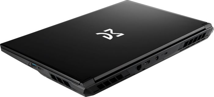 Dream Machines Notebook RG5060-17 17.3QHD IPS, Intel i9-14900HX, 32GB, F2TB, NVD5060-8, DOS, black