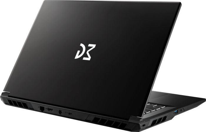 Dream Machines Notebook RG5060-17 17.3QHD IPS, Intel i9-14900HX, 32GB, F2TB, NVD5060-8, DOS, black