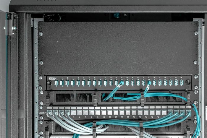 2U blank panel color black (RAL 9005)