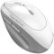 Мышь Genius Ergo 8350S, Silent, AI, WL/BT, бело-серый