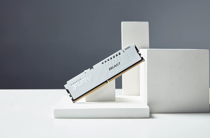 Memory DDR5 16GB 5600 FURY Beast White XMP