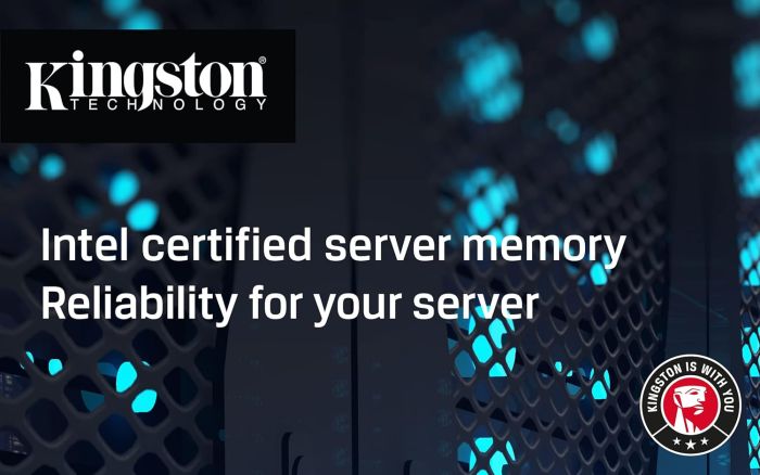 Пам'ять сервера Kingston DDR4 16GB 3200 ECC SO-DIMM